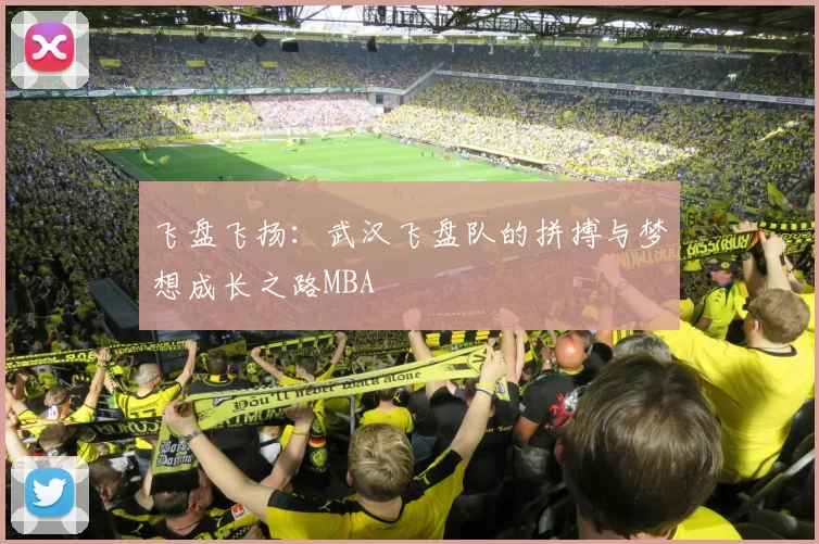 飞盘飞扬：武汉飞盘队的拼搏与梦想成长之路MBA