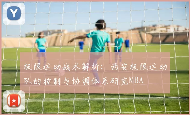 极限运动战术解析：西安极限运动队的控制与协调体系研究MBA