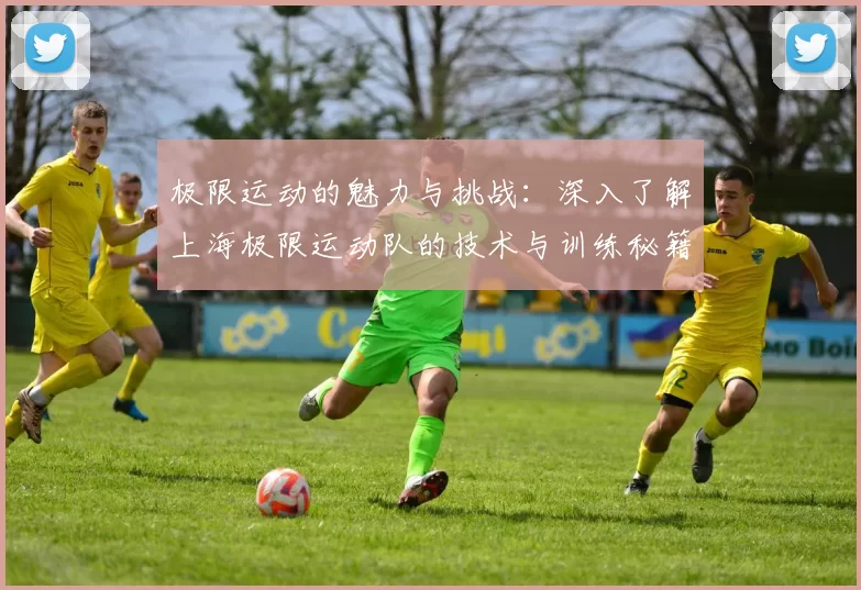 极限运动的魅力与挑战：深入了解上海极限运动队的技术与训练秘籍MBA