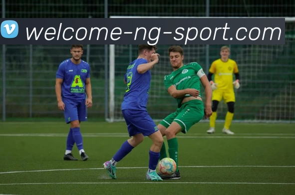 NG南宫大舞台全站App